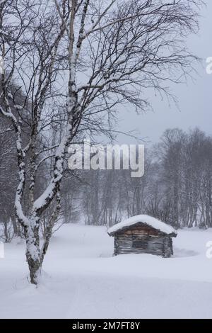Wunderschönes, altes, verlassenes hölzernes Gebirgshaus, eine Hütte umgeben von Wald an einem bewölkten, verschneiten Wintertag. Skigebiet in Schweden, Funasdalen Cove Stockfoto
