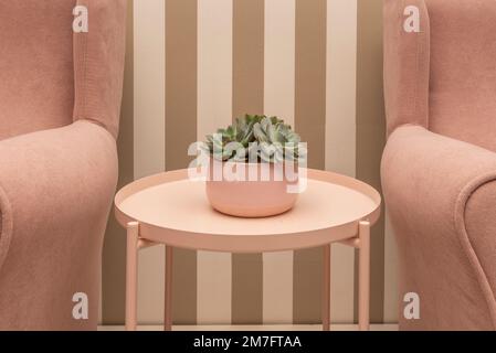 Ein kleiner Topf aus rosafarbenem Porzellan mit saftigen Pflanzen auf einem runden rosafarbenen Metalltisch zwischen zwei Samtsesseln derselben Farbe Stockfoto
