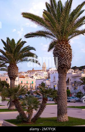 Vieste, Foggia, Italien 29. Juni 2021 Blick über die historische Altstadt von Vieste, Gargano, Apulien, Italien Stockfoto