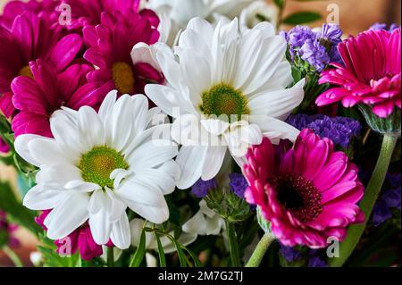 Buntes Bouquet, das aus saisonalen Gartenblumen zusammengestellt wurde. Stockfoto