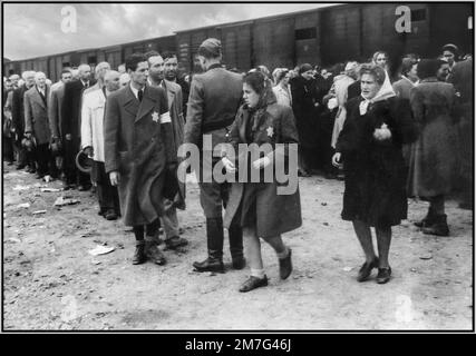 AUSCHWITZ-BIRKENAU HOLOCAUST-GEFANGENE KOMMEN MIT GELBEN DAVIDSTERNEN AN - Eine Vision der Hölle auf Erden. 1944, Nazis „Einstufungen“ (Leben oder Tod) ahnungslose Gefangene auf Bahnhofshalle vor dem Eingang zum Todeslager Auschwitz-Birkenau. Das berüchtigte Lager Auschwitz wurde auf Befehl von Adolf Hitler in den 1940er Jahren während der Besetzung Polens durch Nazideutschland im 2. Weltkrieg gegründet, was durch Heinrich Luitpold Himmler, den Reichsführer des Schutzpersonals und führendes Mitglied der Nazipartei Deutschlands, weiter ermöglicht wurde Stockfoto