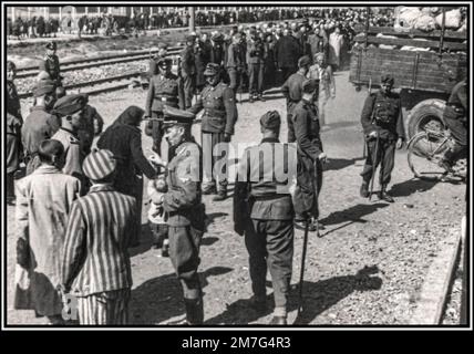 AUSCHWITZ-BIRKENAU-GEFANGENE, DIE IN DER WARTESCHLANGE ANKOMMEN, Eine Vision der Hölle auf Erden. 1944, Nazis „einstufen“ (Leben oder Tod) ahnungslose Gefangene auf Bahnhofshalle vor dem Eingang zum Vernichtungslager Auschwitz-Birkenau. Das berüchtigte Auschwitz-Lager wurde 1940 auf Befehl Adolf Hitlers während der Besetzung Polens durch Nazi-Deutschland im Zweiten Weltkrieg gegründet, zusätzlich ermöglicht durch Heinrich Luitpold Himmler, Reichsführer der Schutzstaffel und führendes Mitglied der NSDAP Deutschlands Stockfoto