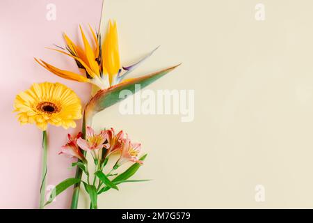 Wunderschöne Blumen (Alstroemeria, Gerbera und Strelitzia reginae) auf pinkfarbenem Pastellhintergrund. Platz für Text. Stockfoto