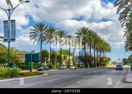 Anaheim, CA, USA – 1. November 2022: Hohe Palmen auf dem Convention Way in Anaheim, Kalifornien. Stockfoto