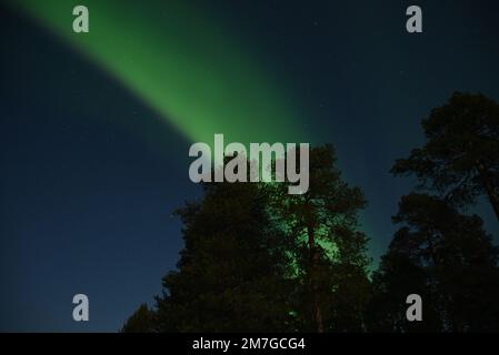 Nordlichter in der Nähe der Stadt Kirkenes, Norwegen, im Winter. Stockfoto