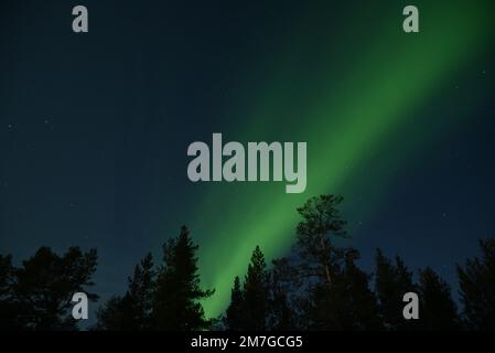 Nordlichter in der Nähe der Stadt Kirkenes, Norwegen, im Winter. Stockfoto