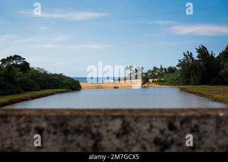 Blick auf Waimea Beach von der Autobahn. Stockfoto