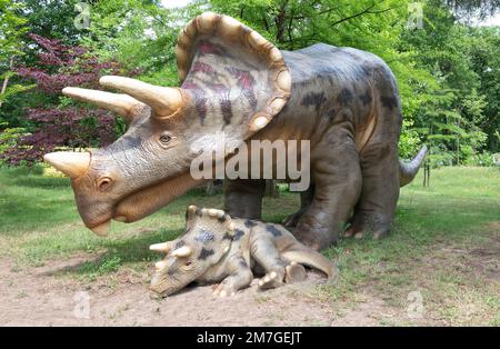 Triceratops mit Young in natürlicher Umgebung. Stockfoto