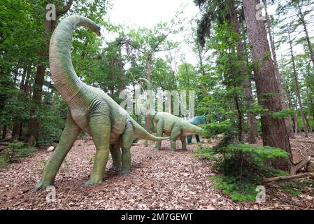 Ein realistischer Diplodocus Dinosaurier in einem wilden Wald Stockfoto