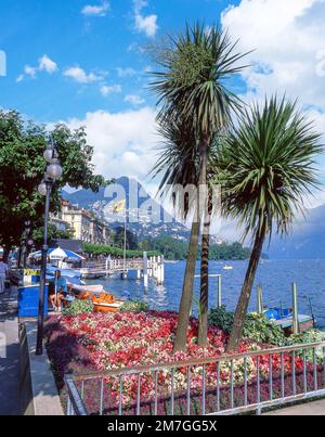 Ufer des Luganer Sees, Lugano, Lugano, Tessin, Schweiz Stockfoto