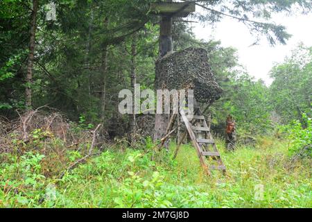 Jäger verstecken sich auf einem Baum Stockfoto