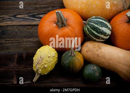 Kürbis. Verschiedene Kürbissorten auf hölzernem Hintergrund Stockfoto