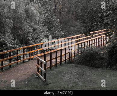 Ein Fußweg zwischen Bäumen in einem Park Stockfoto