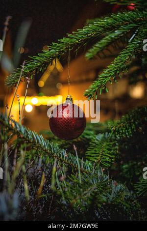 Roter Weihnachtsbaumball auf Tannenbaum bei Nacht, Calw, Deutschland Stockfoto