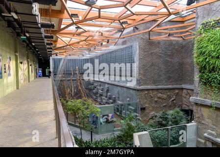 Lodz, Polen - 29. September 2022: Modernes Interieur des Orientarium Zoos mit inneren Makaken Stockfoto