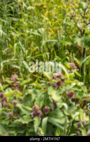 Neu, altersbeständig, digitales Zeitalter, ohne Objektiv, herausragend, Hochauflösendes, winkliges Bild von natürlichen Mustern und Chaos Stockfoto