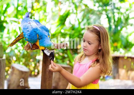 Kind füttert Ara Papagei im tropischen Zoo. Kind spielt mit dem großen Regenwaldvögel. Kinder und Haustiere. Kinder spielen und füttern Wildtiere im Safaripark Stockfoto