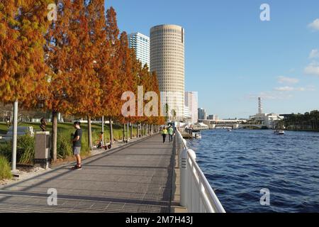 Tampa Riverwalk Armature Arbeitet Stockfoto