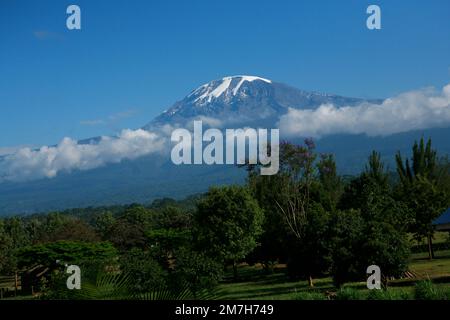 Der Kilimandscharo Tansania Africa snowcap Mountain und üppiges Grün Stockfoto