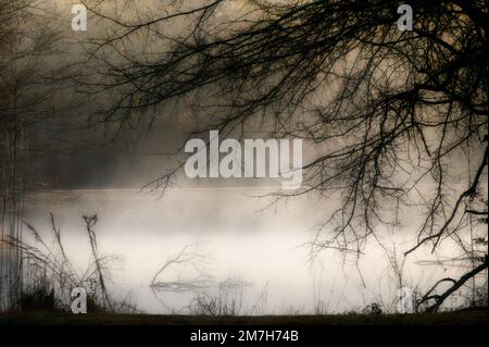 Ein kühler Morgen zusammen mit Nebel und Wasser, machen Sie einige stimmungsvolle Fotos. Das ist Teil des Gelben Bachs in Vernon, Alabama. Stockfoto