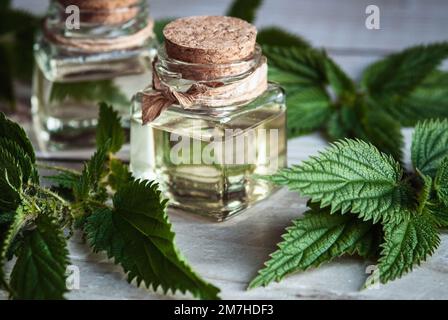 Brennnesseltinktur in Glasflaschen, Urtica dioica frische Blätter auf Holztisch Stockfoto