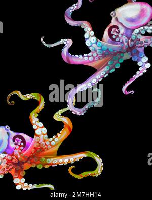 Aquarelle Tintenfische. Realistische helle Tintenfische. Meereslebewesen auf schwarzem Hintergrund Stockfoto