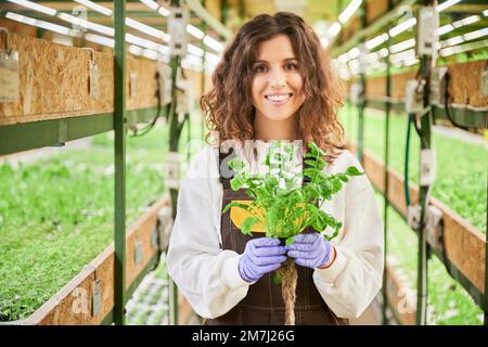 Fröhliche Gärtnerin, die in die Kamera schaut und lächelt, während sie den Topf mit grüner Pflanze hält. Junge Frau in Gartenhandschuhen steht im Gang zwischen Regalen mit Pflanzen im Gewächshaus. Stockfoto