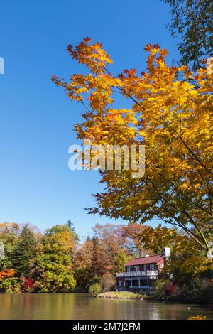 Japan, Honshu, Präfektur Nagano, Karuizawa, Shiozawa-See, Herbstblätter Stockfoto