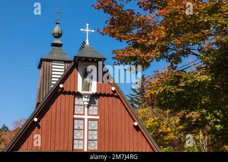 Japan, Honshu, Präfektur Nagano, Karuizawa, Katholische Kirche St. Paul Stockfoto