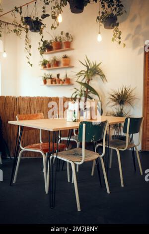 Café, leerer Raum oder Restaurant-Design-Interieur mit modernem Tisch, Pflanzen und Stühlen während des Tages. Luxus, offener Raum oder Café mit Möbeln Stockfoto