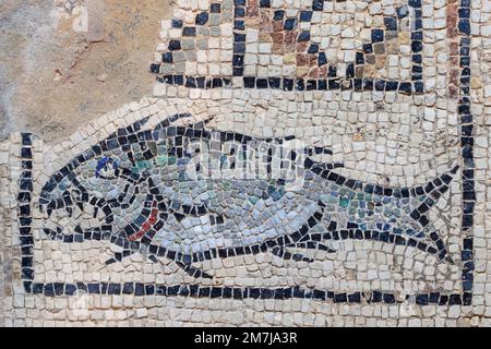 Mosaik eines Fisches in der Euphrasischen Basilika Stockfoto