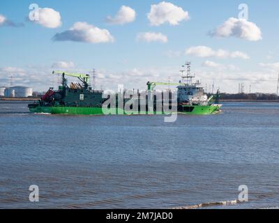 Doel, Belgien, 08. Januar 2023, der Schlepptrichter der Scheldt-Segel segelt hier auf dem Fluss scheldt zwischen dem Polderdorf Doel A. Stockfoto