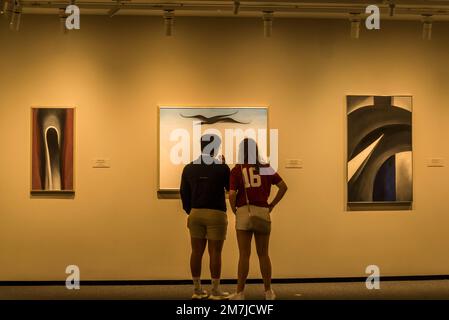 Ein Paar, das sich Georgia O'Keeffe anschaut: Gemälde, National Gallery of Art - East Building, Washington, D.C., USA Stockfoto