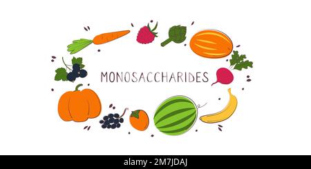 Monosaccharide-haltige Lebensmittel. Gruppen von gesunden Produkten, die Vitamine und Mineralien enthalten. Obst, Gemüse, Fleisch, Fisch und Milchprodukte Stock Vektor