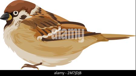 Spatz-Passer domesticus, Vogel-Tiervektor Stock Vektor