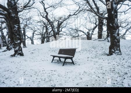 Eine einsame Bank in einem schneebedeckten Park mit blattlosen Bäumen Stockfoto
