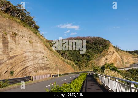 Japan, Honshu, Izu-Oshima Island, Road and Stratum Section of Cliffs Stockfoto