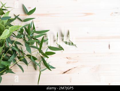 Frische Eukalyptusäste auf hellem Holzhintergrund. Draufsicht und Kopierbereich. Stockfoto