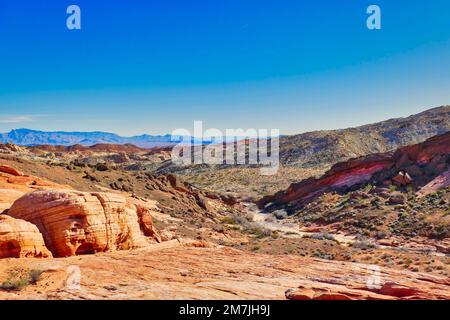 Tal mit trockenem Flussbett in der Wüste am White Domes Trail, Valley of Fire State Park, Nevada, USA. Stockfoto