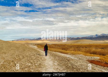 Frau, die in der Mojave-Wüste spaziert, in der Nähe der China Ranch Date Farm in Tecopa, Kalifornien. Trockene Gräser, Sanddünen und karge Berge Stockfoto