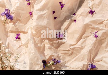 Blumenzusammensetzung Kräuterblütenhintergrund Papier Stockfoto