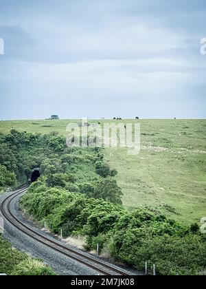 Eine senkrechte Drohne, die Eisenbahnschienen aus einem Tunnel geschossen hat, umgeben von grünen Feldern und üppigen Bäumen Stockfoto