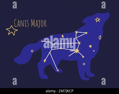 Zur Konstellation der Canis major Star Formation des Hundes Stock Vektor
