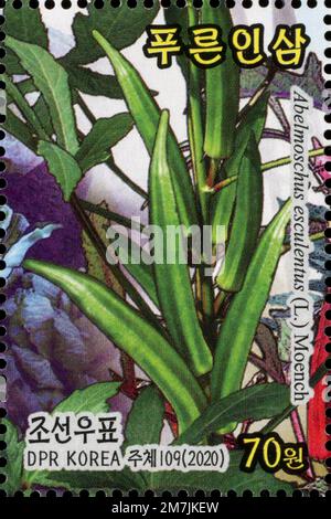 Nordkoreanische Briefmarke von 2020 mit einer Okra-Pflanze (Abelmoschus esculentus) mit wissenschaftlichen und koreanischen Namen. Stockfoto