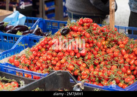 Sizilianische Tomaten zum Verkauf auf dem Ballarò-Markt in Palermo Stockfoto