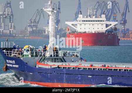 YANTAI, CHINA - 10. JANUAR 2023 - Frachtschiffe fahren in den Gewässern vor Yantai, Ost-Chinas Provinz Shandong, 7. Januar 2023. Gemäß der Datenrelea Stockfoto