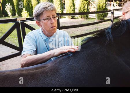 Seniorin streichelt ein schwarzes Pferd auf dem Rücken, kümmert sich um das Pferd Stockfoto