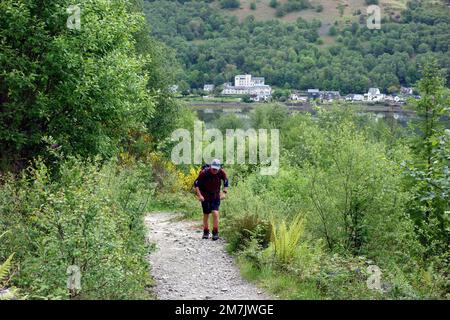 Ein Mann, der auf dem Pfad von Loch Long in der Nähe von Arrochar zum Scottish Mountain Corbett „The Cobbler“ (Ben Arthur) in den schottischen Highlands, Schottland, spaziert. Stockfoto