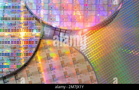 Monokristalline Silizium-Wafer mit Mikrochips zur Herstellung von elektronischen integrierten Schaltungen. Stockfoto