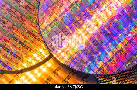 Monokristalline Silizium-Wafer mit Mikrochips zur Herstellung von elektronischen integrierten Schaltungen. Stockfoto